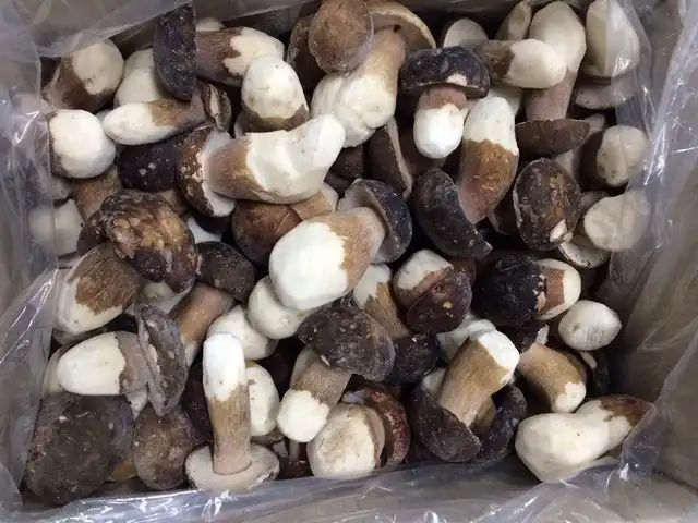 Замразена Манатарка - Porcini (Boletus reticulatus) 1kg 3