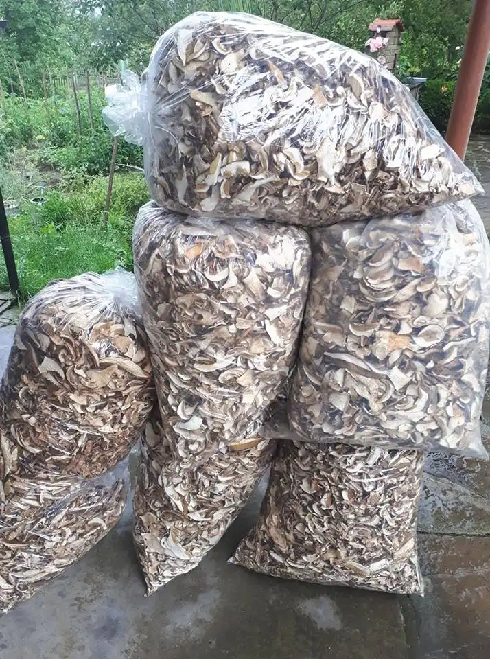 Сушена Манатарка Porcini (Boletus reticulatus) 200гр. 2