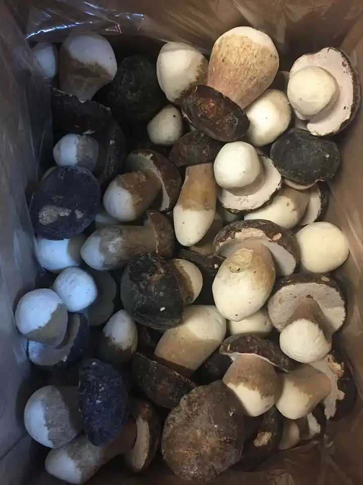 Замразена Манатарка - Porcini (Boletus reticulatus) 1kg 2